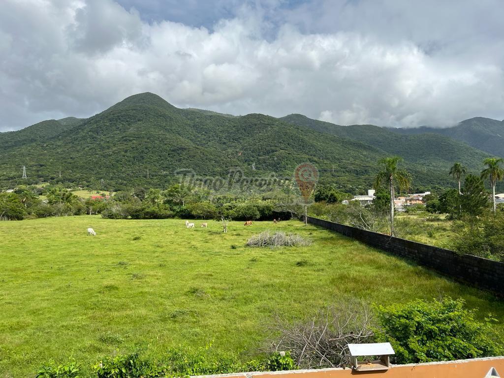 Casa, 4 quartos, 300 m² - Foto 25