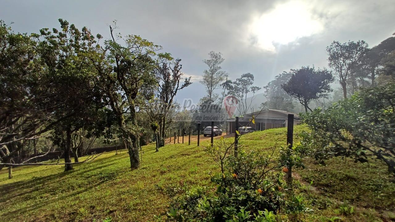 Sítio, 3 quartos, 9659 m² - Foto 3