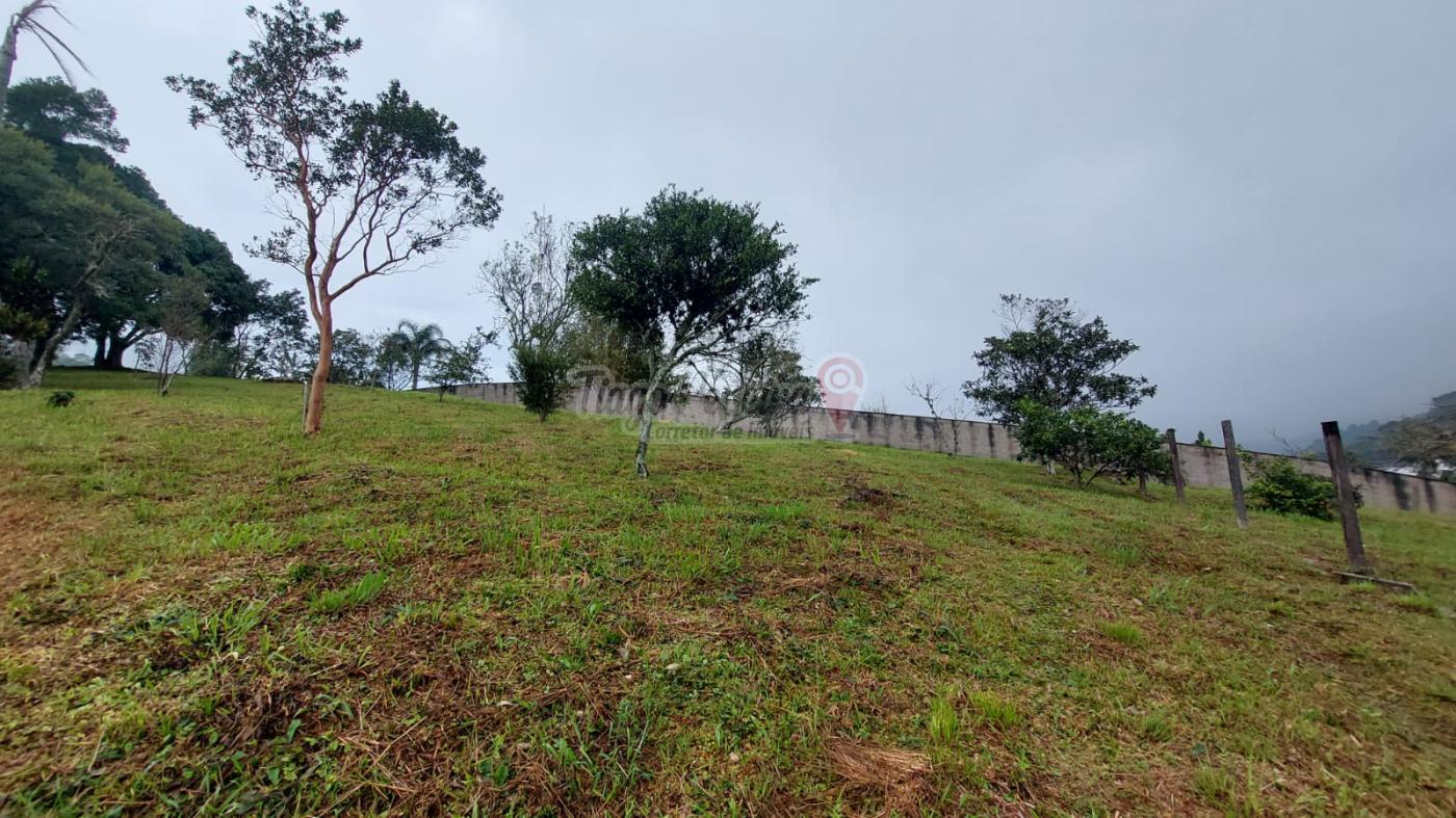 Sítio, 3 quartos, 9659 m² - Foto 4