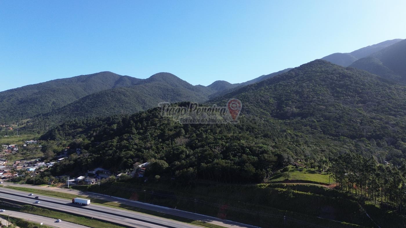 Sítio, 3 quartos, 9659 m² - Foto 38