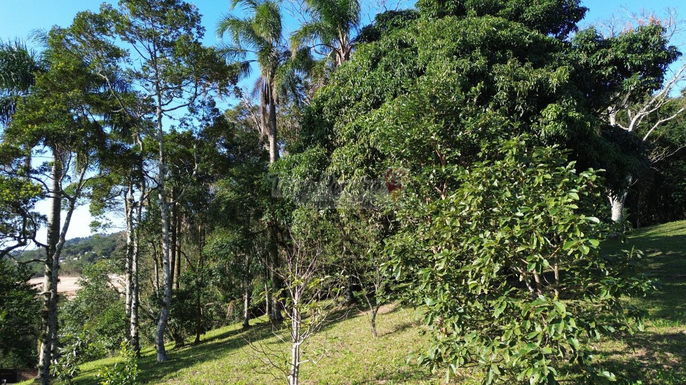 Sítio, 3 quartos, 9659 m² - Foto 45