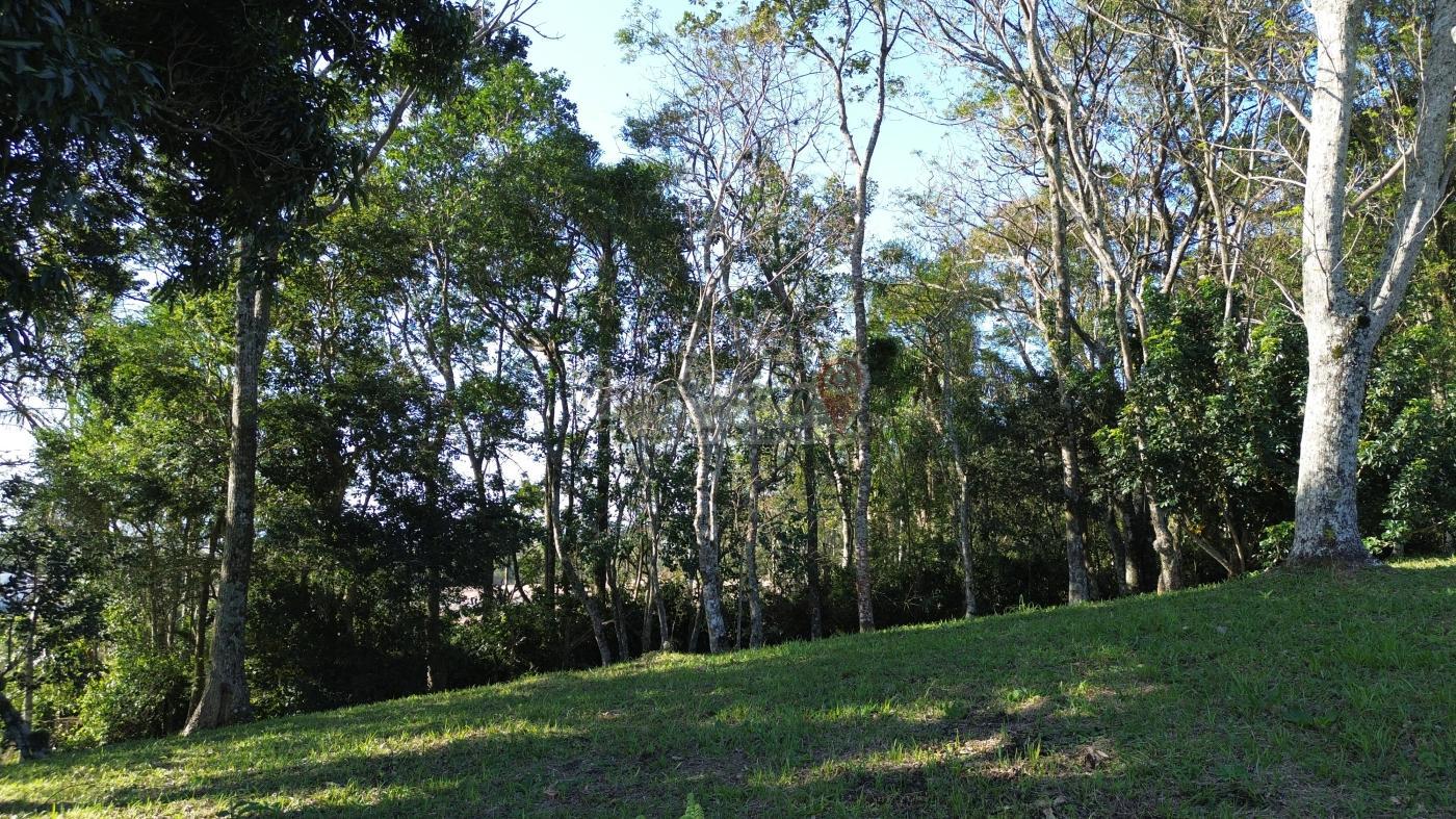 Sítio, 3 quartos, 9659 m² - Foto 46