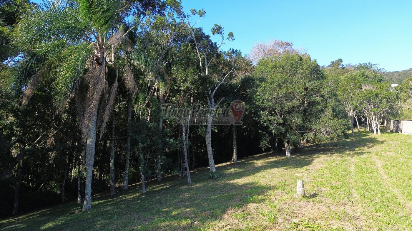 Sítio, 3 quartos, 9659 m² - Foto 48