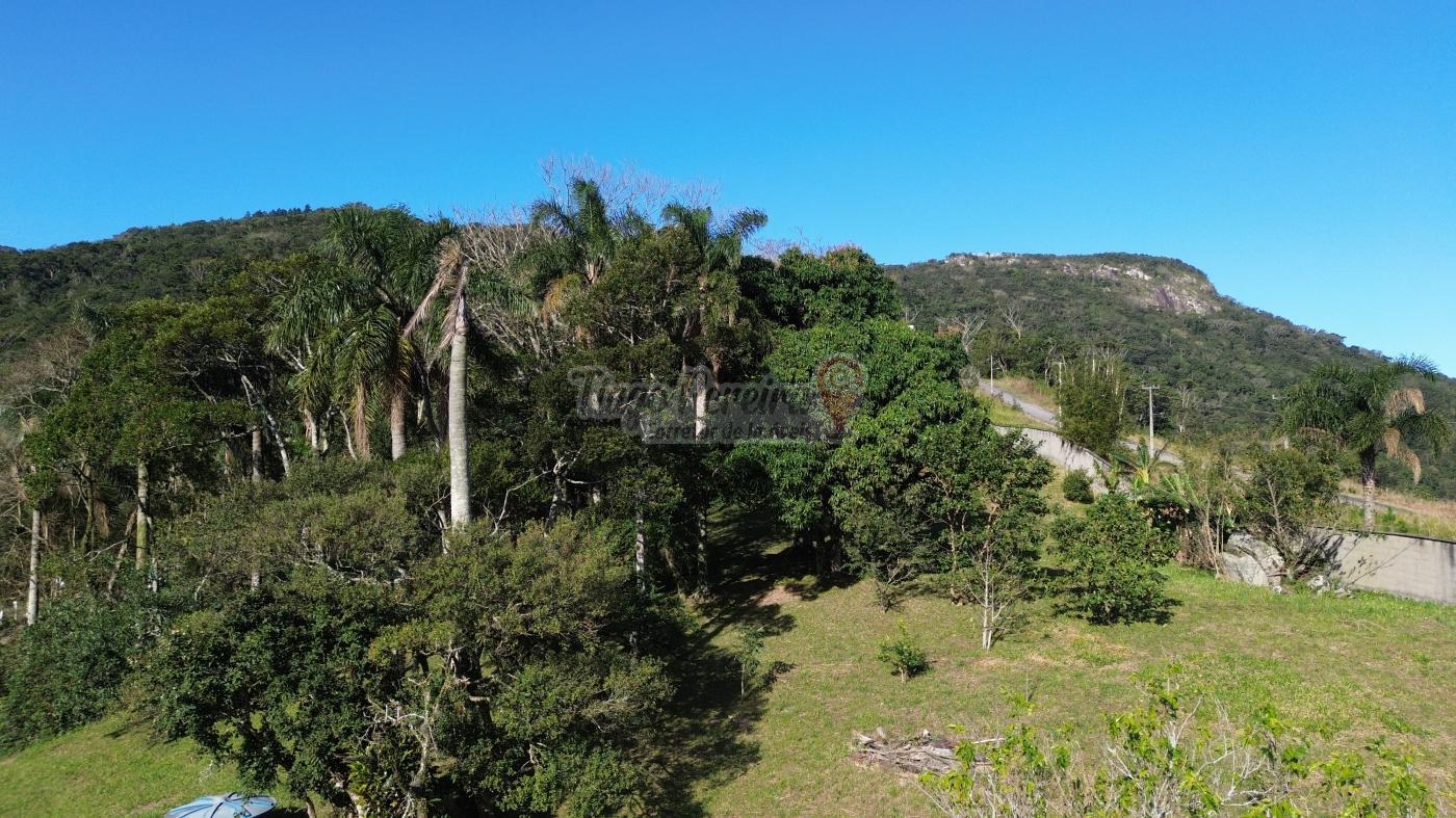 Sítio, 3 quartos, 9659 m² - Foto 49