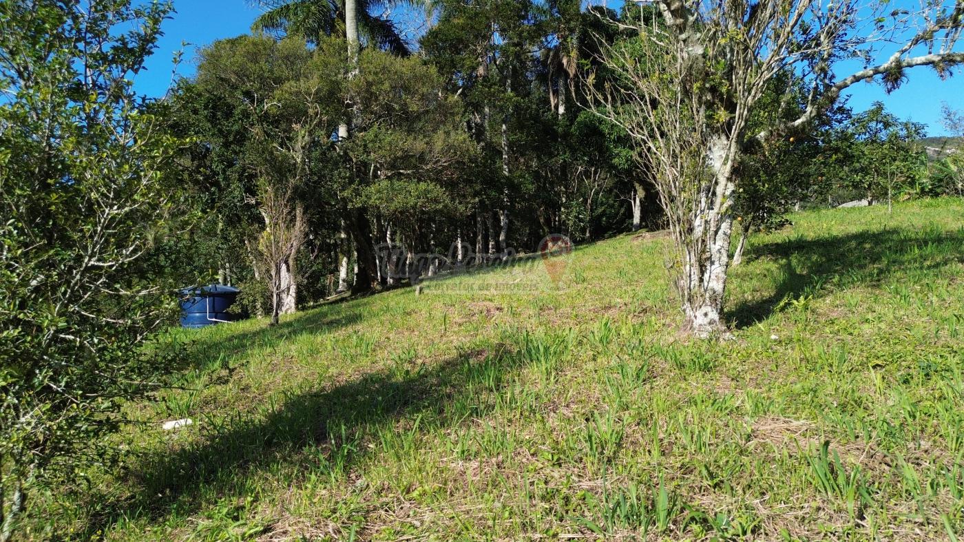 Sítio, 3 quartos, 9659 m² - Foto 50