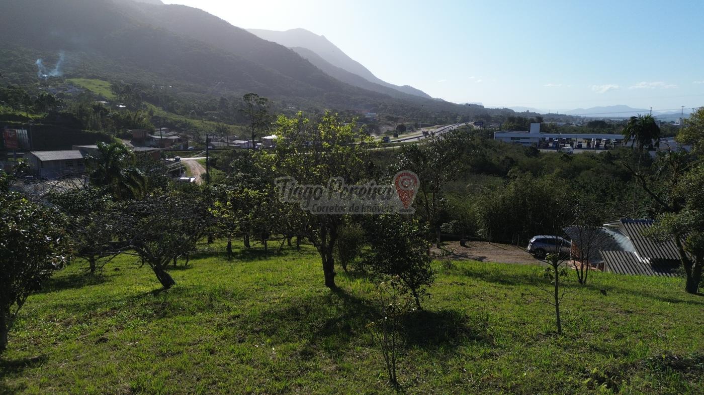 Sítio, 3 quartos, 9659 m² - Foto 51