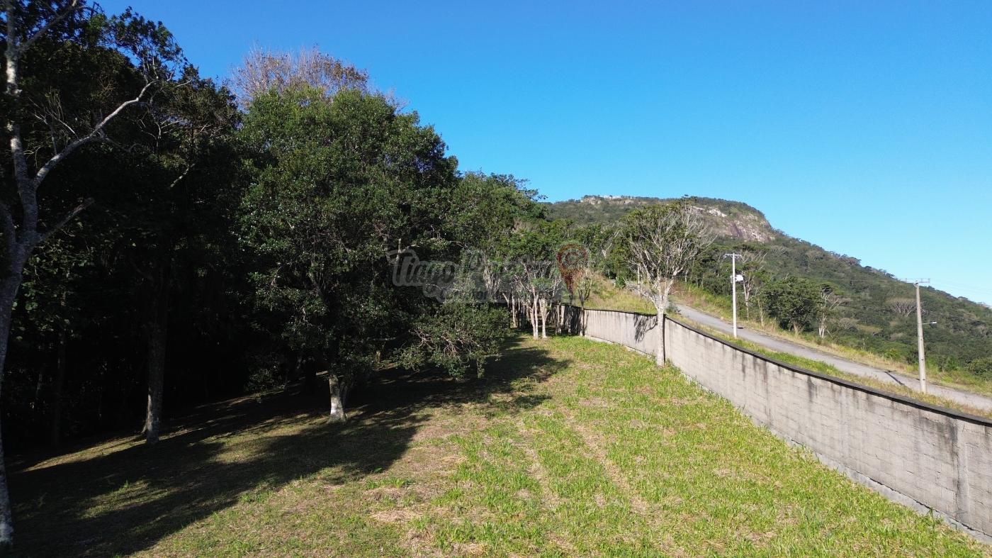 Sítio, 3 quartos, 9659 m² - Foto 56