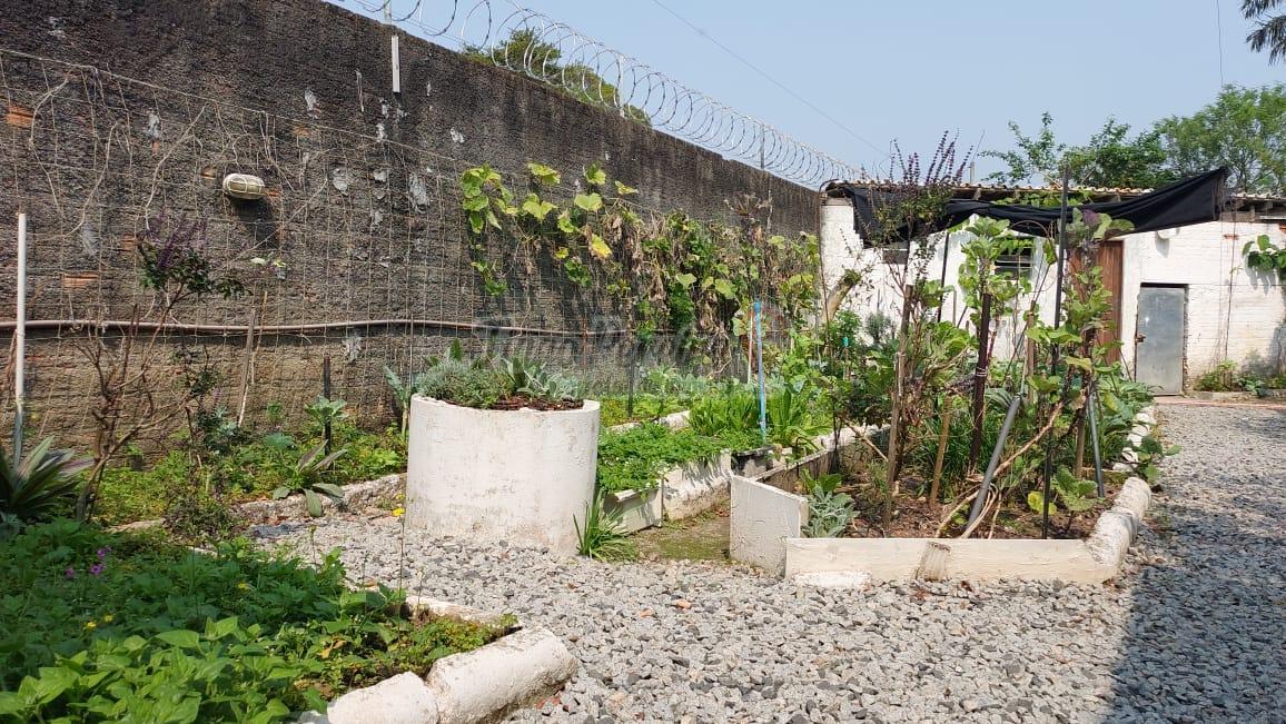 Terreno, 329 m² - Foto 23