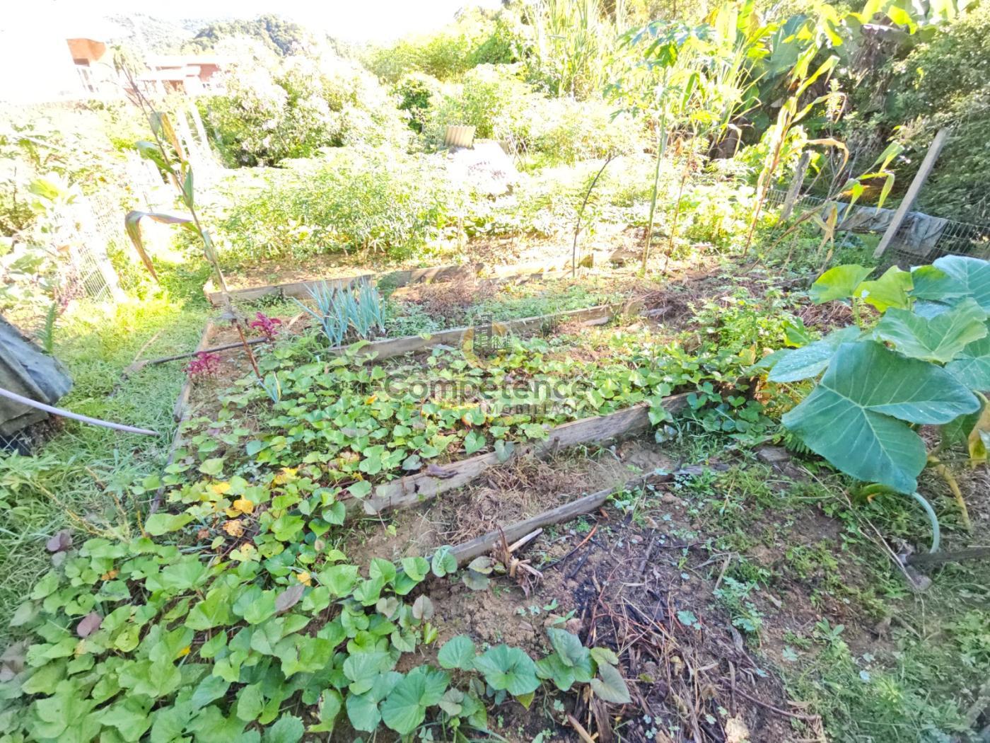 Sítio, 3 quartos, 1244 m² - Foto 19