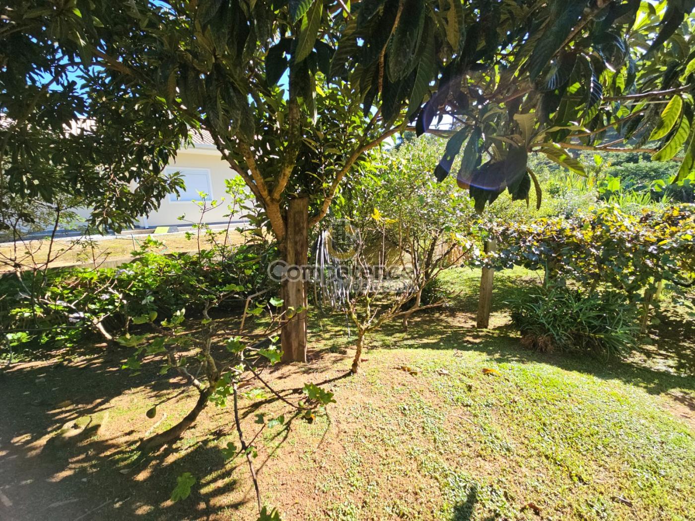 Sítio, 3 quartos, 1244 m² - Foto 16