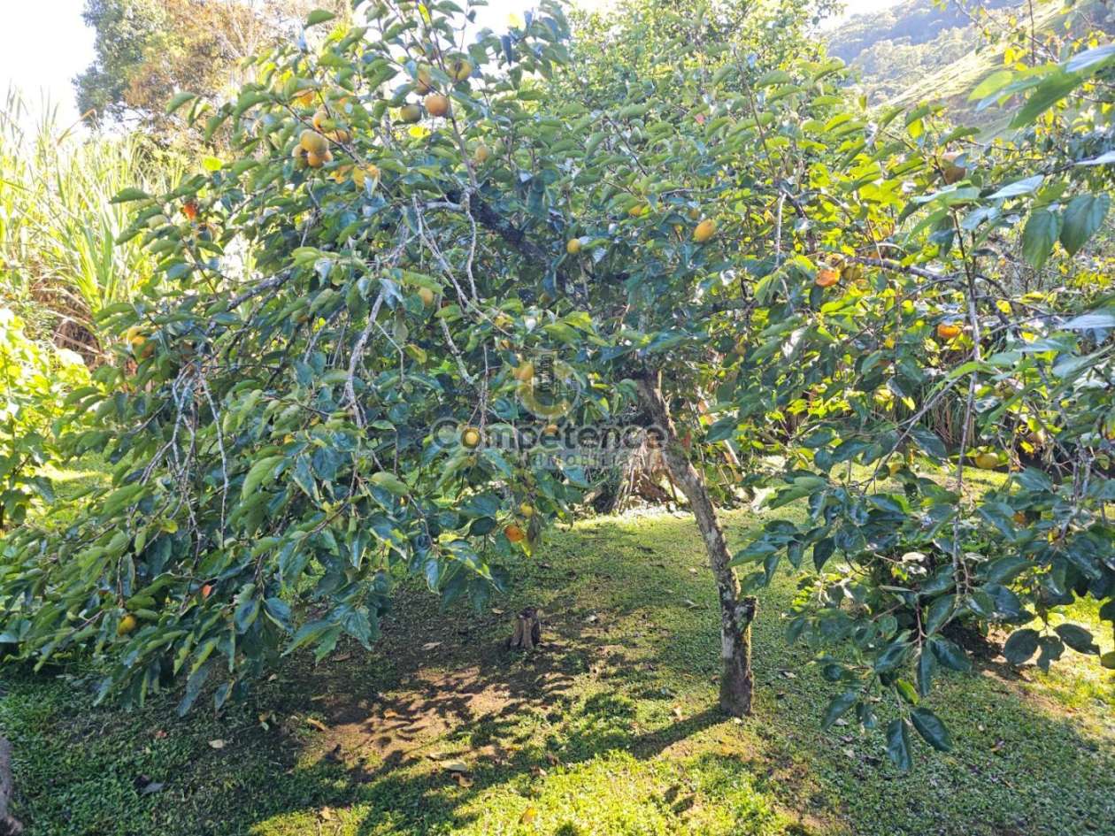 Sítio, 3 quartos, 1244 m² - Foto 14