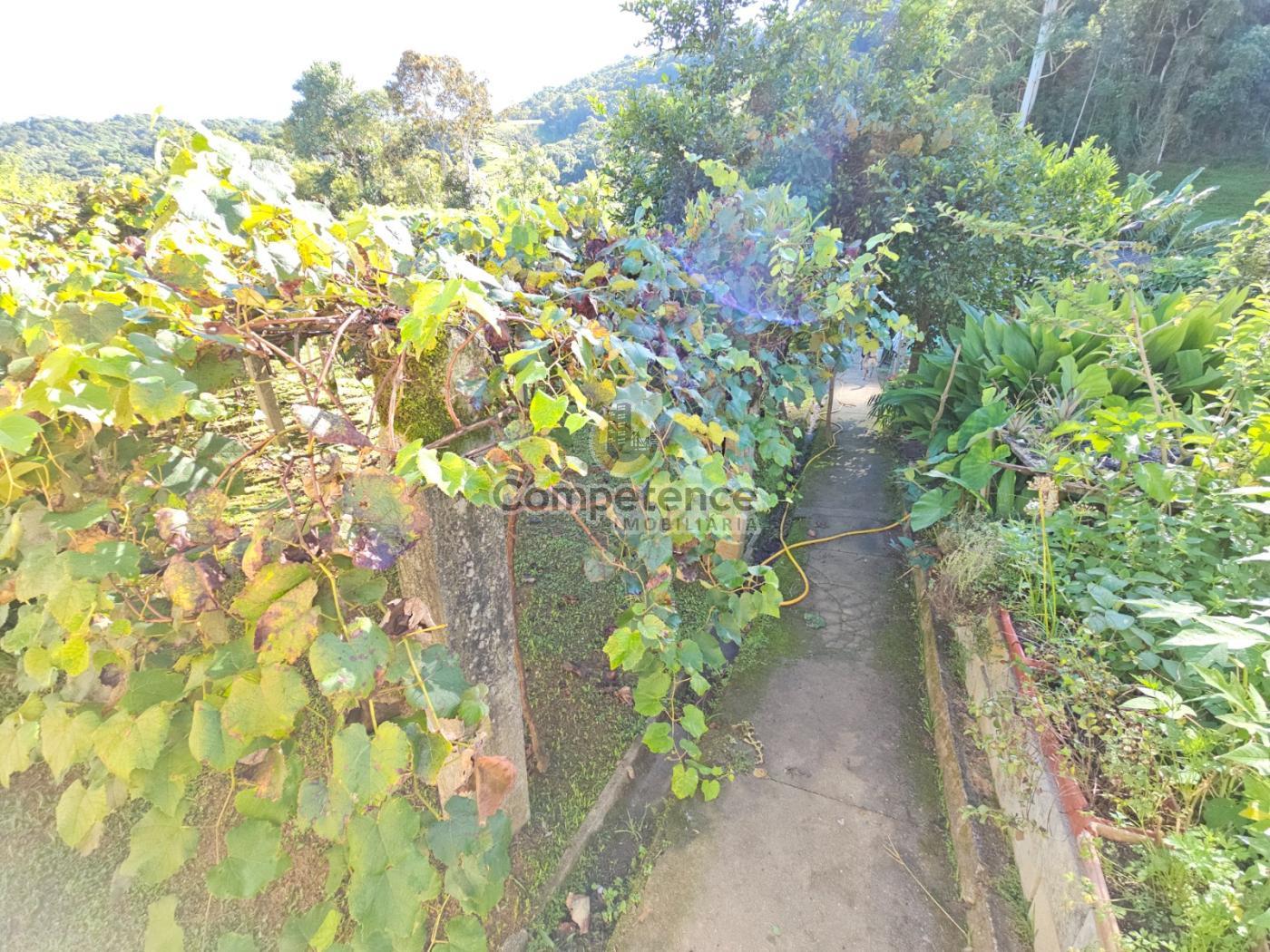 Sítio, 3 quartos, 1244 m² - Foto 22