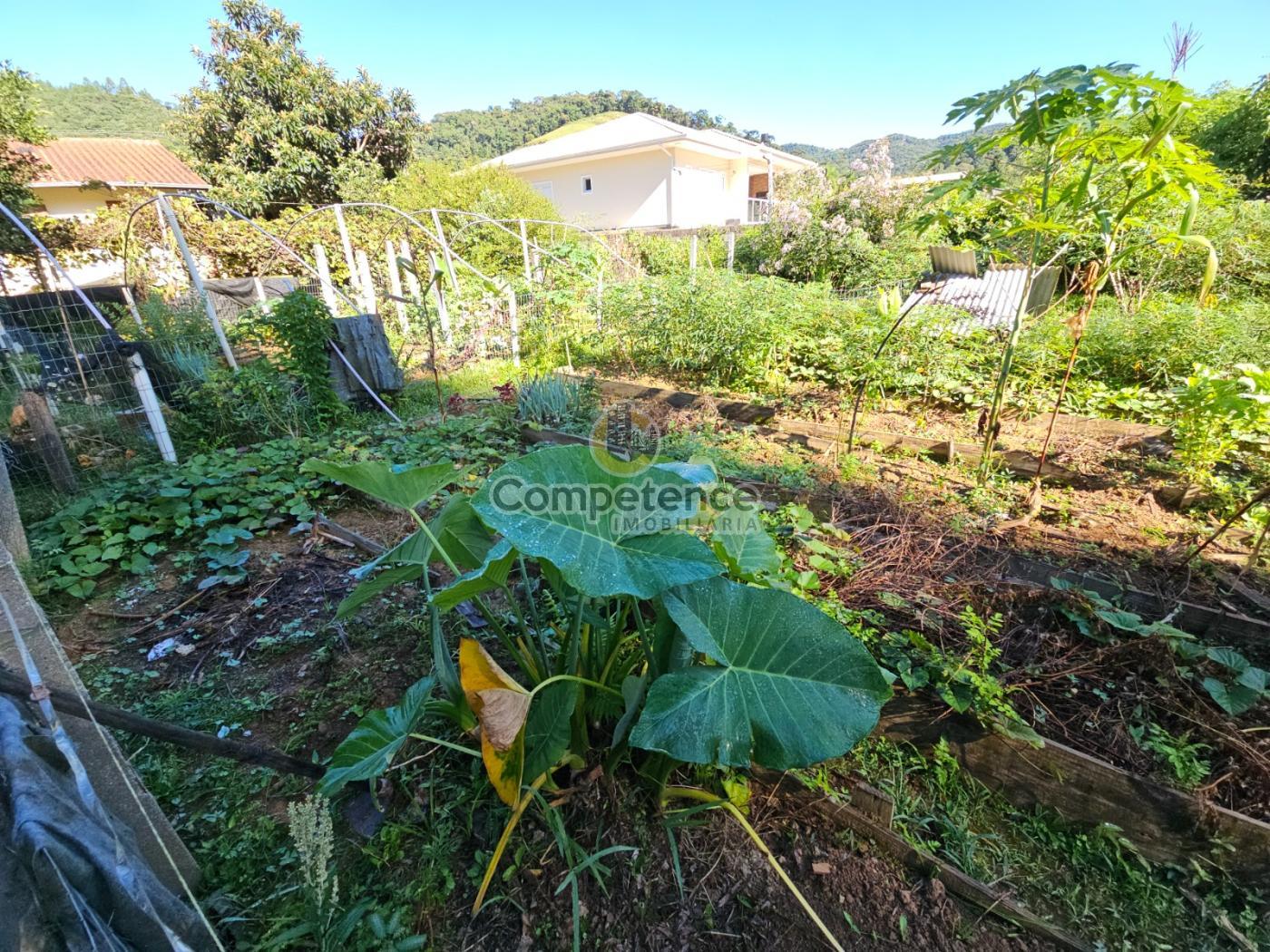 Sítio, 3 quartos, 1244 m² - Foto 20