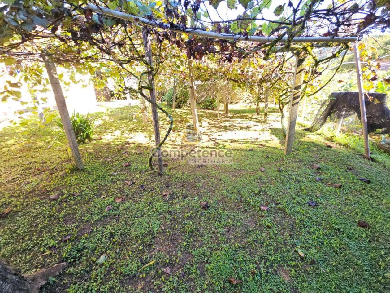 Sítio, 3 quartos, 1244 m² - Foto 13