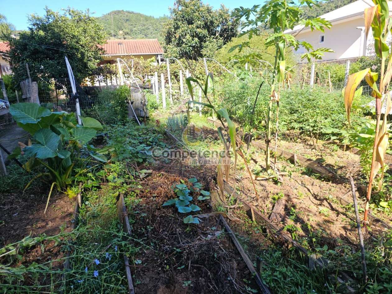 Sítio, 3 quartos, 1244 m² - Foto 21