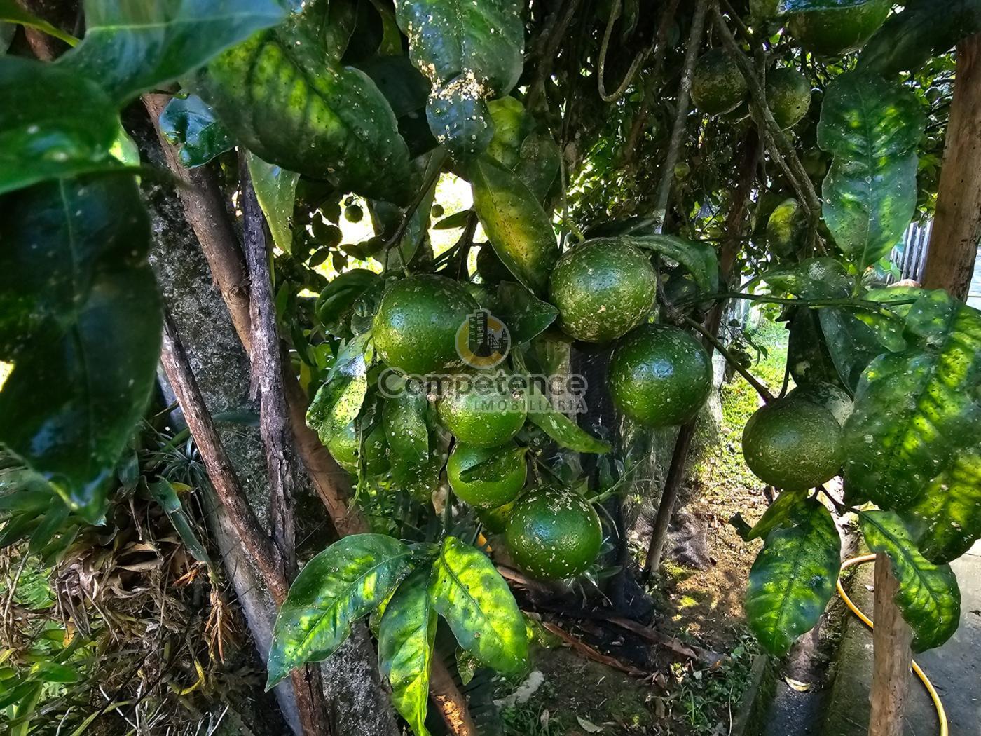 Sítio, 3 quartos, 1244 m² - Foto 18