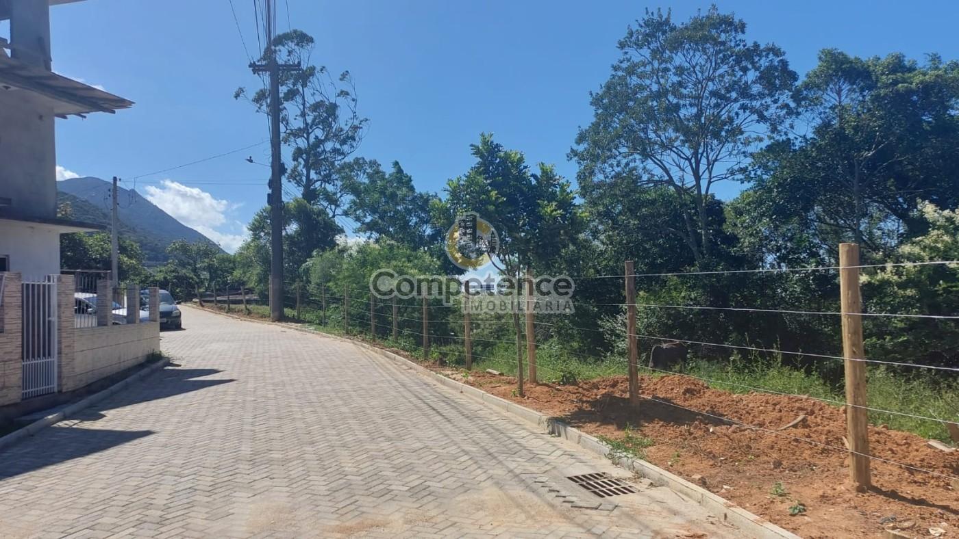 Sítio, 3 quartos, 9659 m² - Foto 59