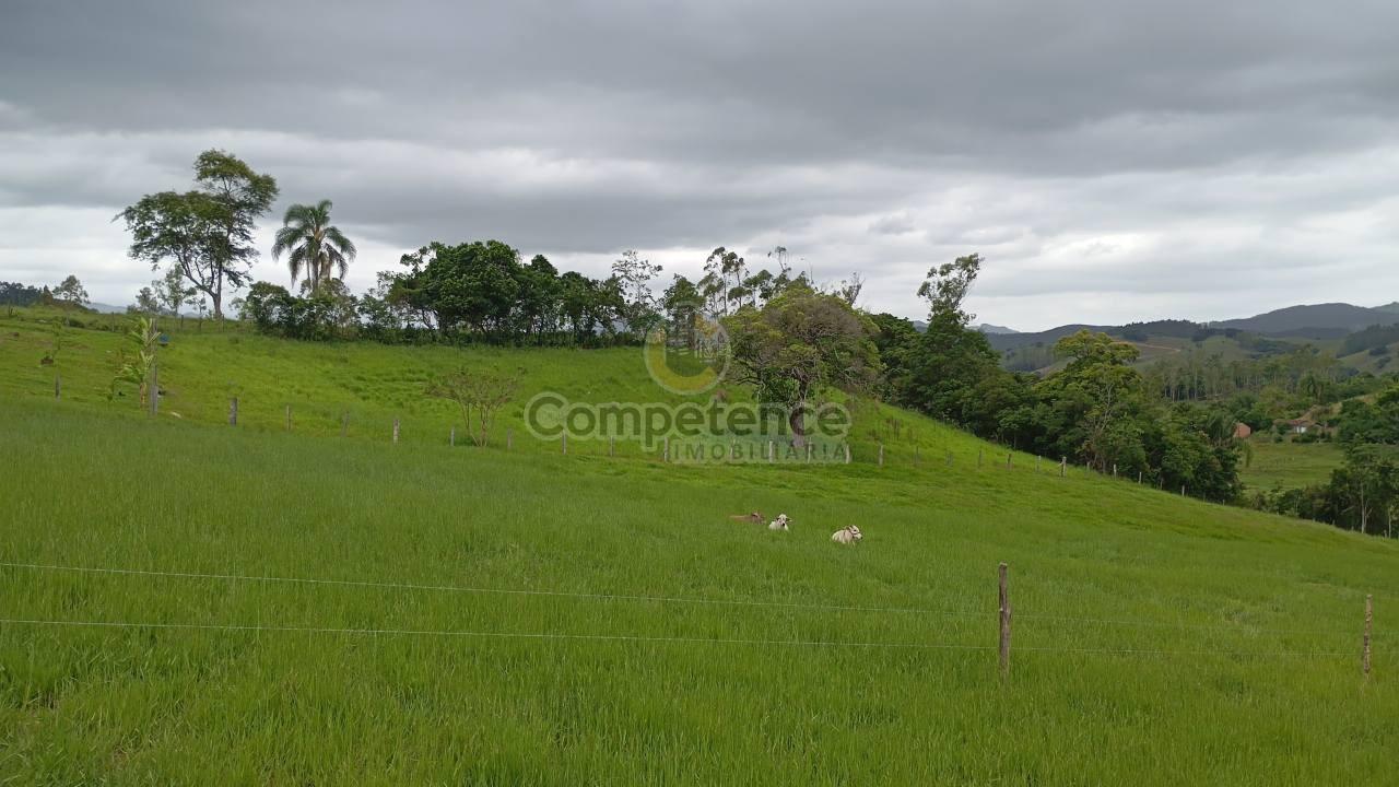 Fazenda, 4118 m² - Foto 8