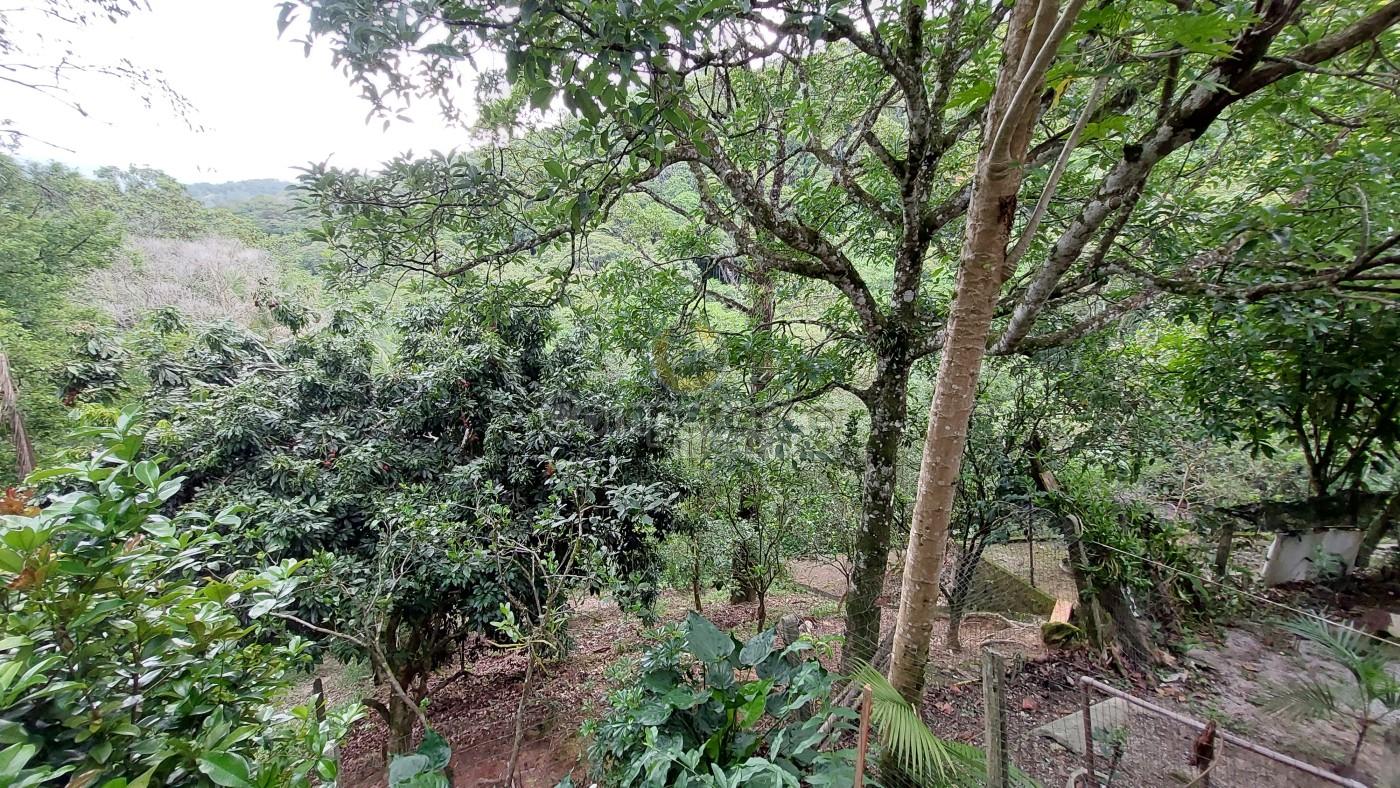 Chácara, 3 quartos, 800 m² - Foto 9